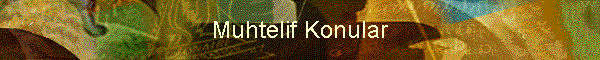 Muhtelif Konular